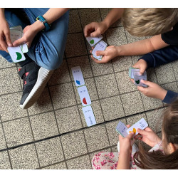 Domino des fractions