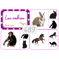 489 - Les ombres / les animaux