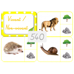 540 - Vivant ou non vivant ?