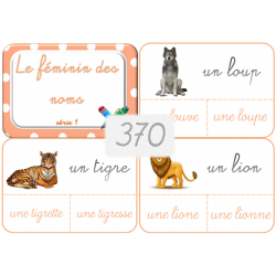 370 - Le féminin des noms...