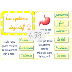 498 - le système digestif