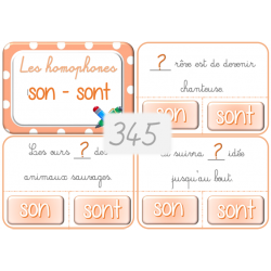 345 - je choisis son ou sont