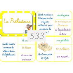 533 - La Préhistoire