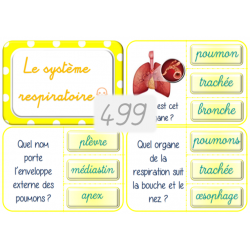 499 - le système respiratoire
