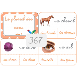 367 - Le pluriel des noms -...