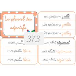 373 - Le pluriel des...