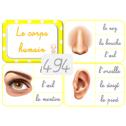 494 - le corps humain