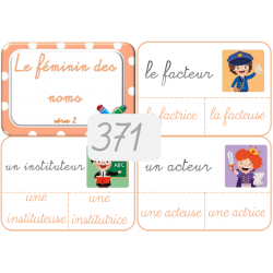 371 - Le féminin des noms -...