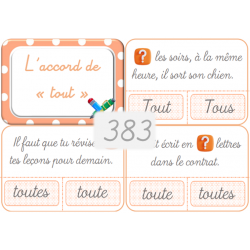 383 - L'accord de "tout"