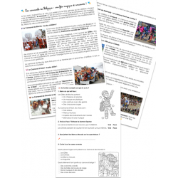 Les carnavals de Belgique -...