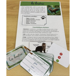 CAP de lire - "La loutre"