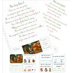 OIN - Pas trop loin !