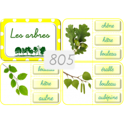 805 - Les arbres