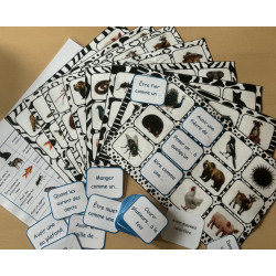 Bingo des expressions