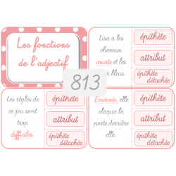 813 - Les fonctions de...