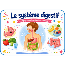 CAP de lire - le système digestif