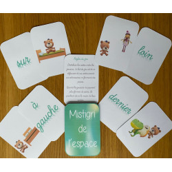 Mistigri de l'espace